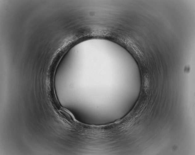 X0000098030684200804181230