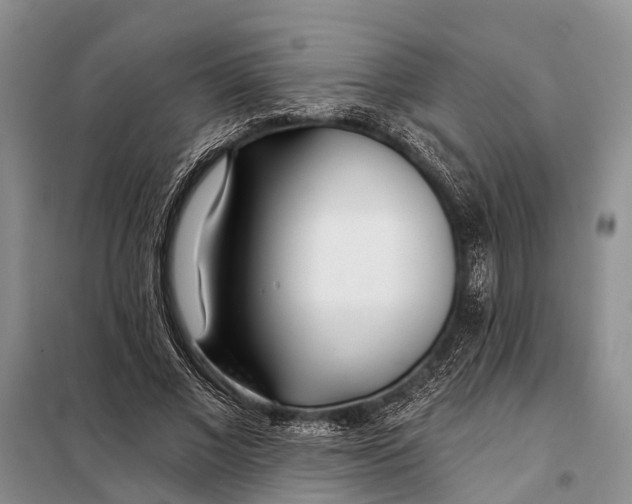 X0000098030685200804181230