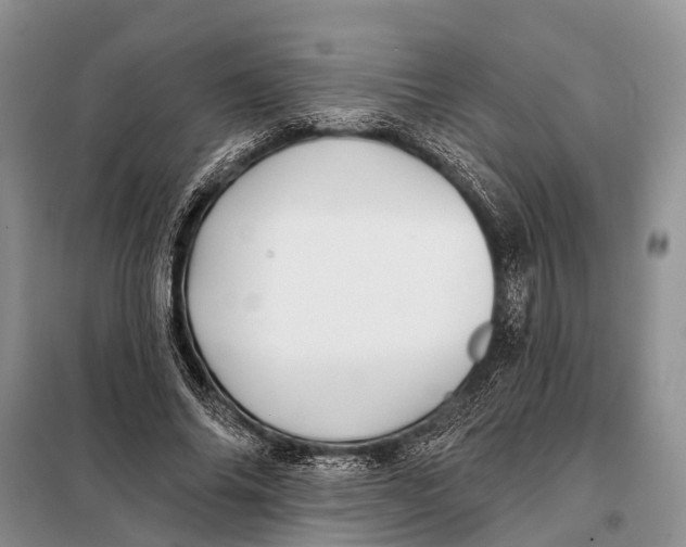 X0000098030686200804181230