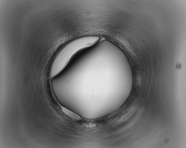 X0000098030687200804181230