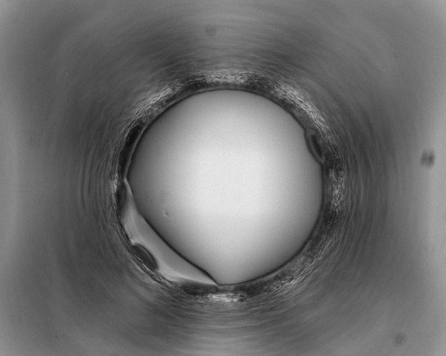 X0000098030692200804181230