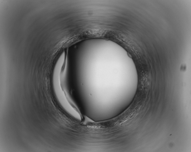 X0000098030693200804181230