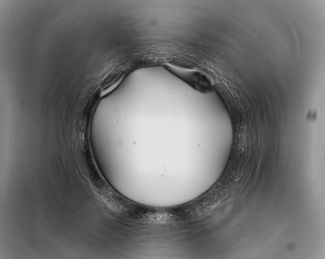 X0000098030695200804181230