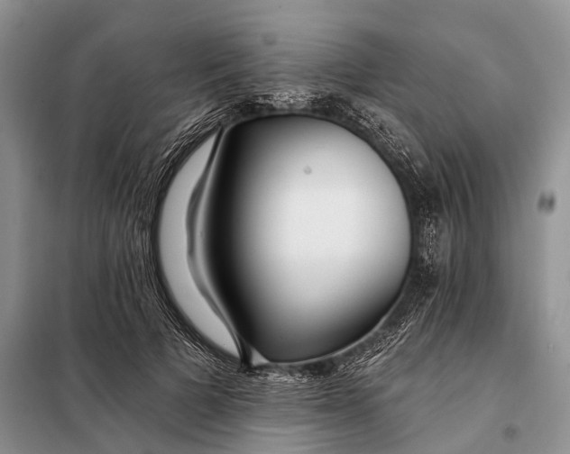 X0000098030697200804181230