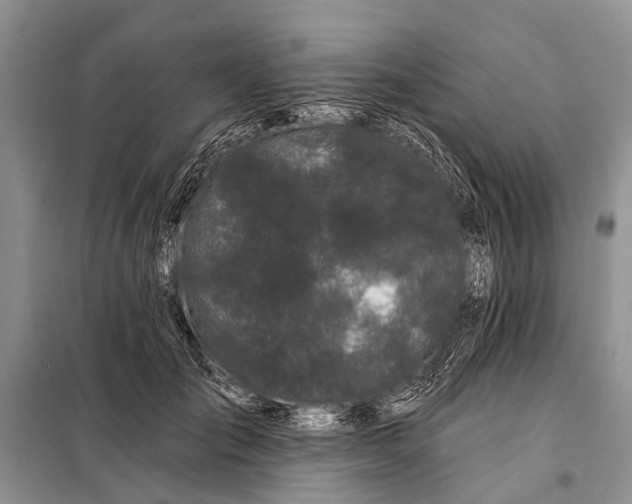 X0000098030701200804181229