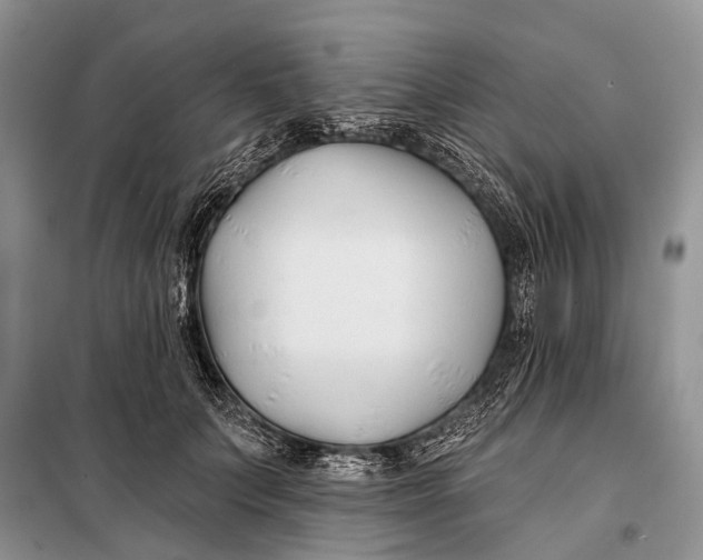 X0000098030703200804181229