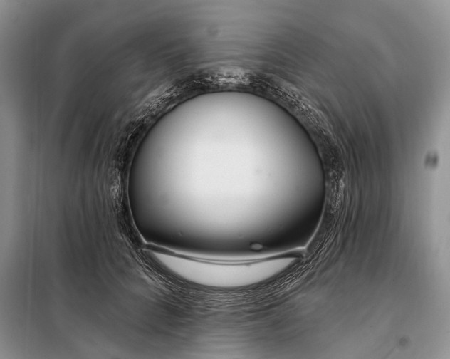 X0000098030704200804181229