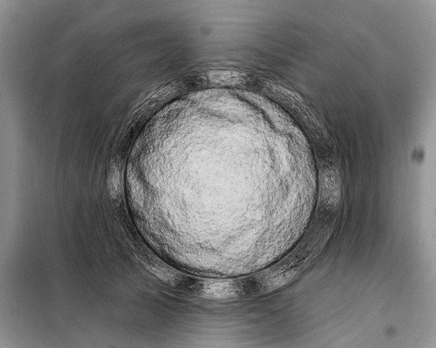 X0000098030705200804181229