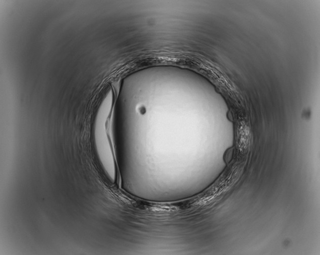 X0000098030707200804181229