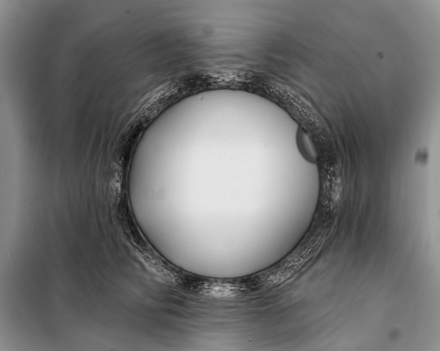 X0000098030710200804181229