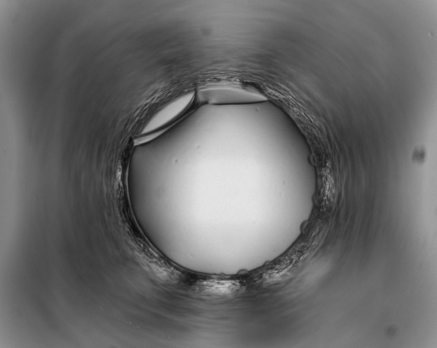 X0000098030711200804181229