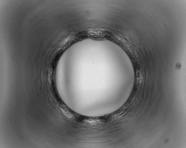 X0000098030712200804181229