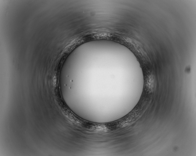 X0000098030715200804181229