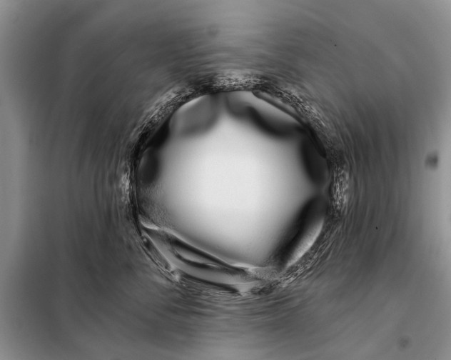 X0000098030716200804181229