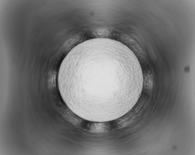 X0000098030717200804181229