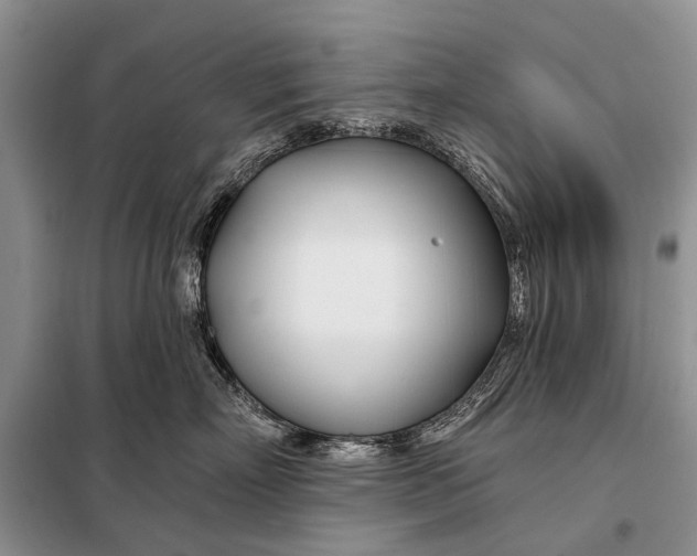 X0000098030718200804181229