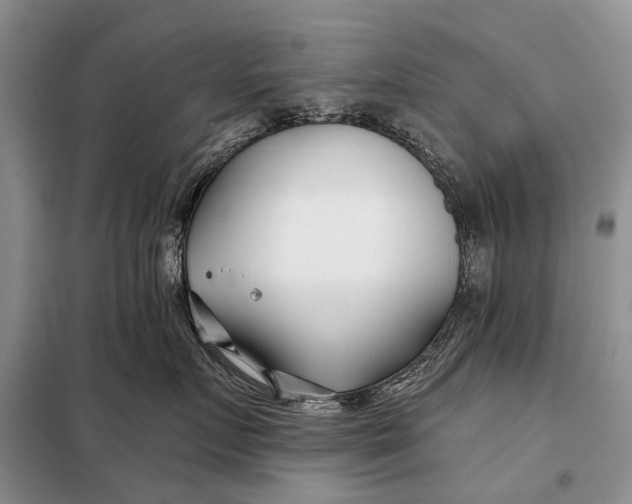 X0000098030719200804181229