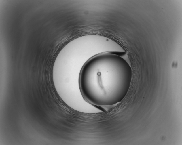 X0000098030720200804181229