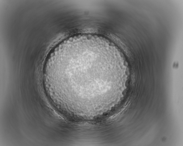 X0000098030721200804181228