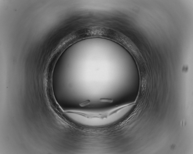 X0000098030722200804181228