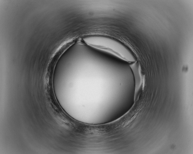 X0000098030723200804181228