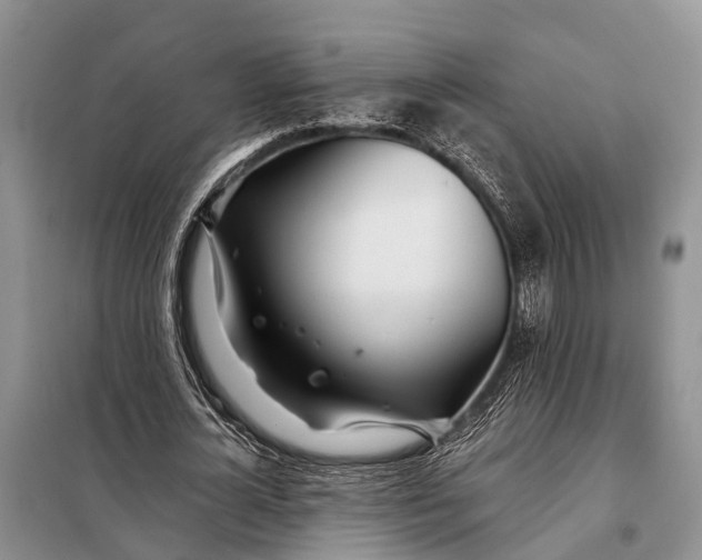 X0000098030724200804181229