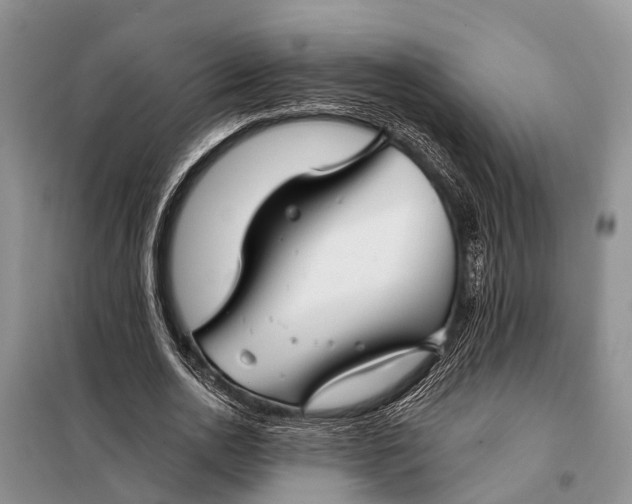 X0000098030726200804181229