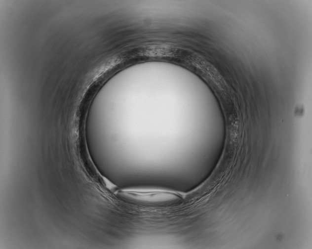 X0000098030727200804181229