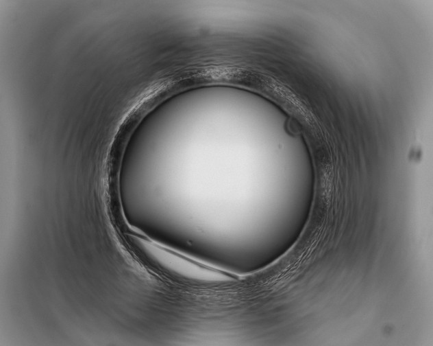 X0000098030730200804181229