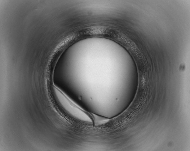 X0000098030732200804181229