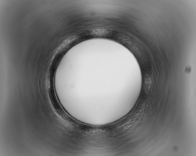 X0000098030734200804181229