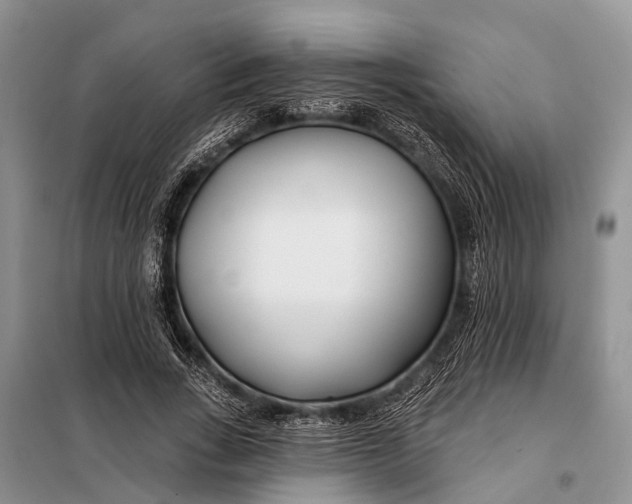 X0000098030735200804181229