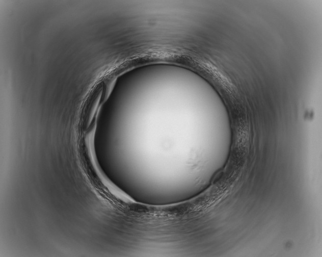 X0000098030736200804181229