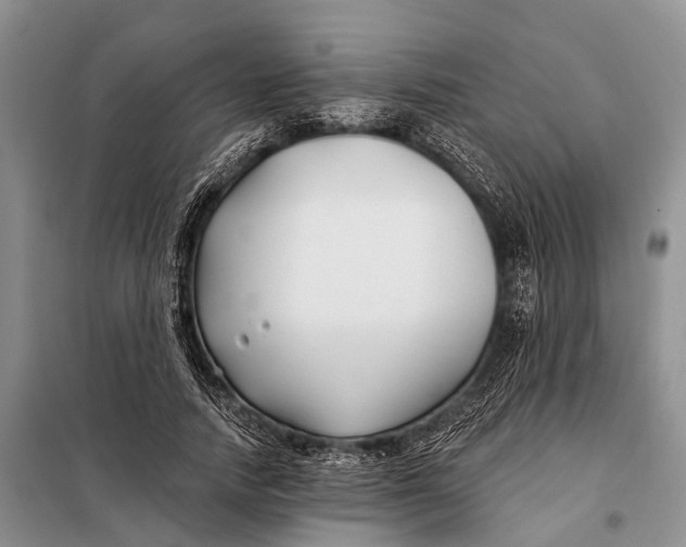 X0000098030738200804181229