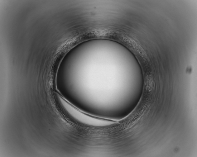 X0000098030740200804181229