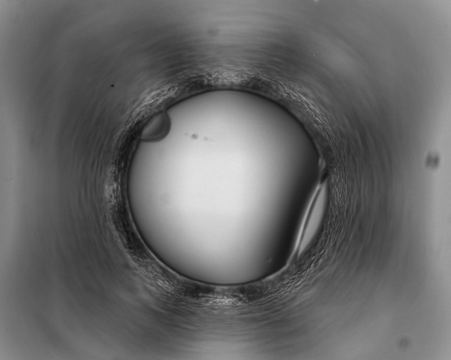 X0000098030743200804181229