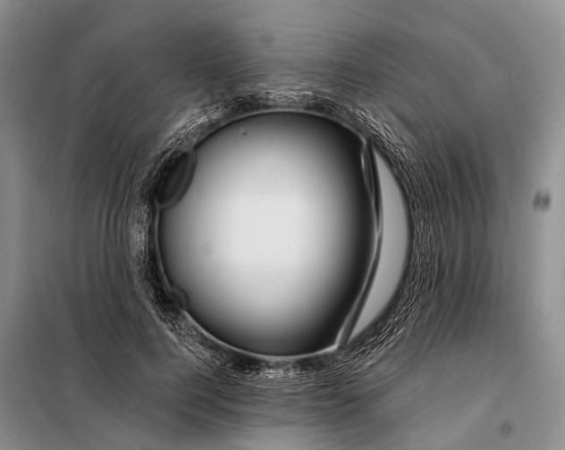 X0000098030744200804181229