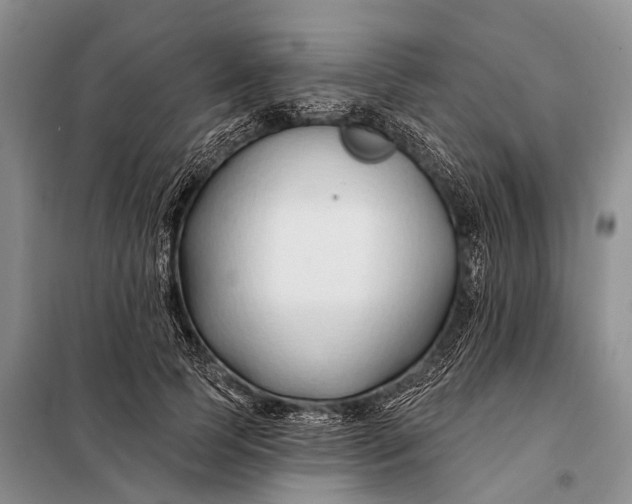 X0000098030745200804181229