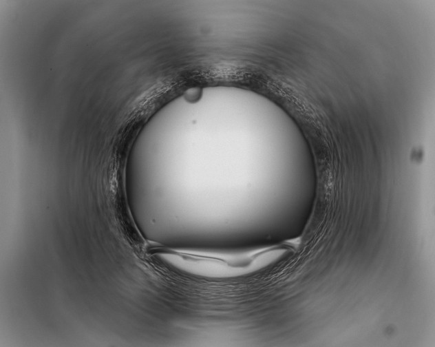 X0000098030746200804181229