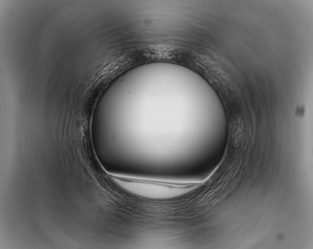 X0000098030747200804181229