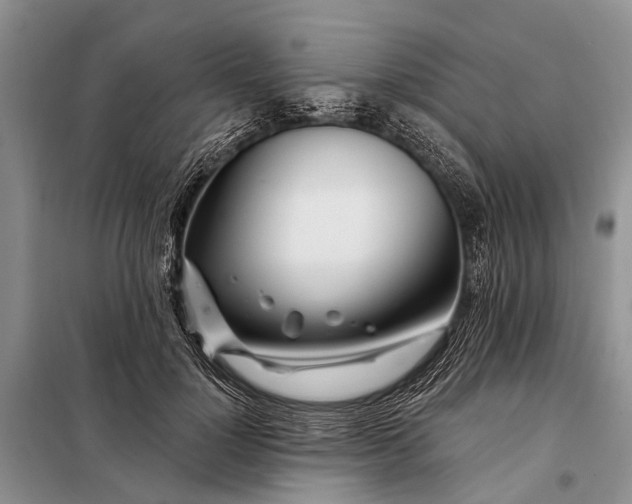 X0000098030748200804181229