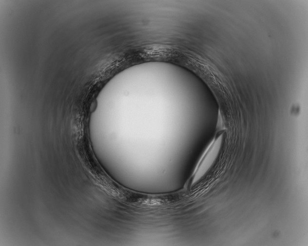 X0000098030751200804181229