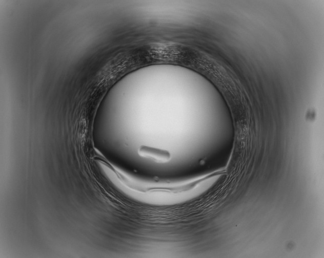 X0000098030752200804181229