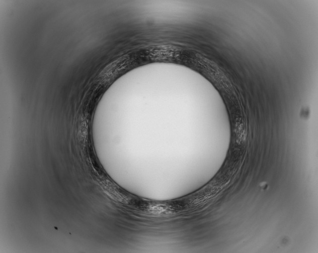 X0000098030753200804181229