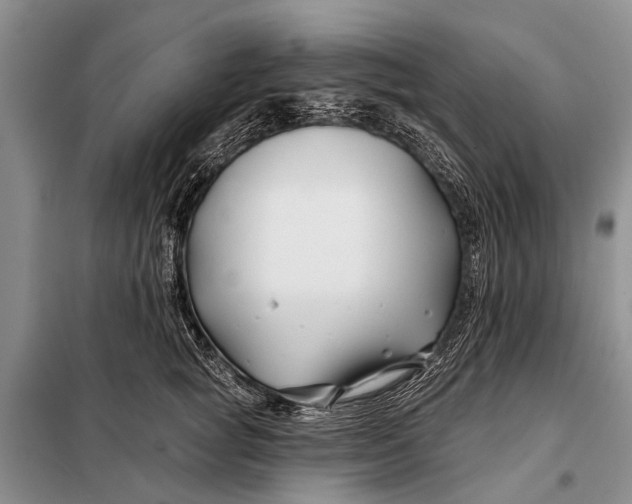 X0000098030757200804181229