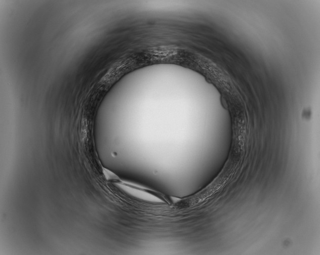 X0000098030758200804181229