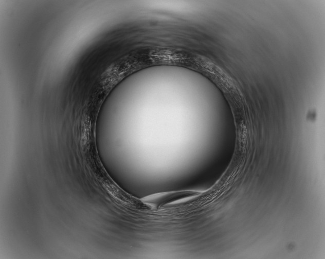 X0000098030760200804181229