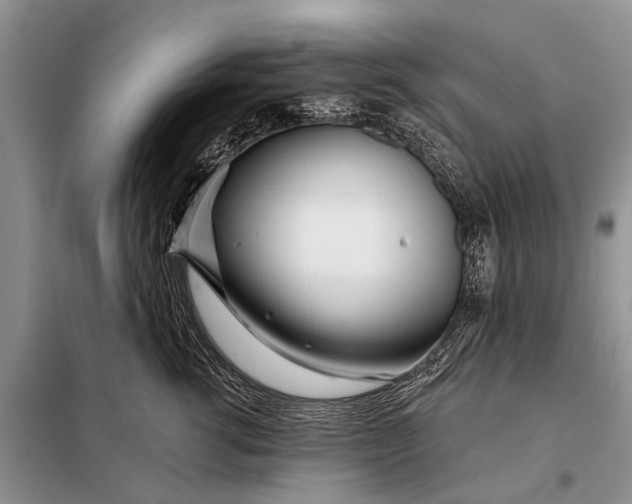 X0000098030762200804181229