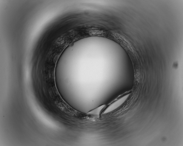 X0000098030763200804181229