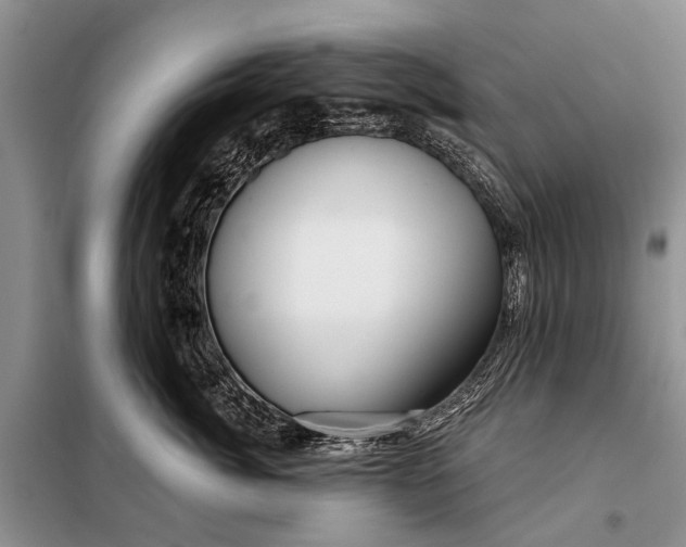 X0000098030764200804181229